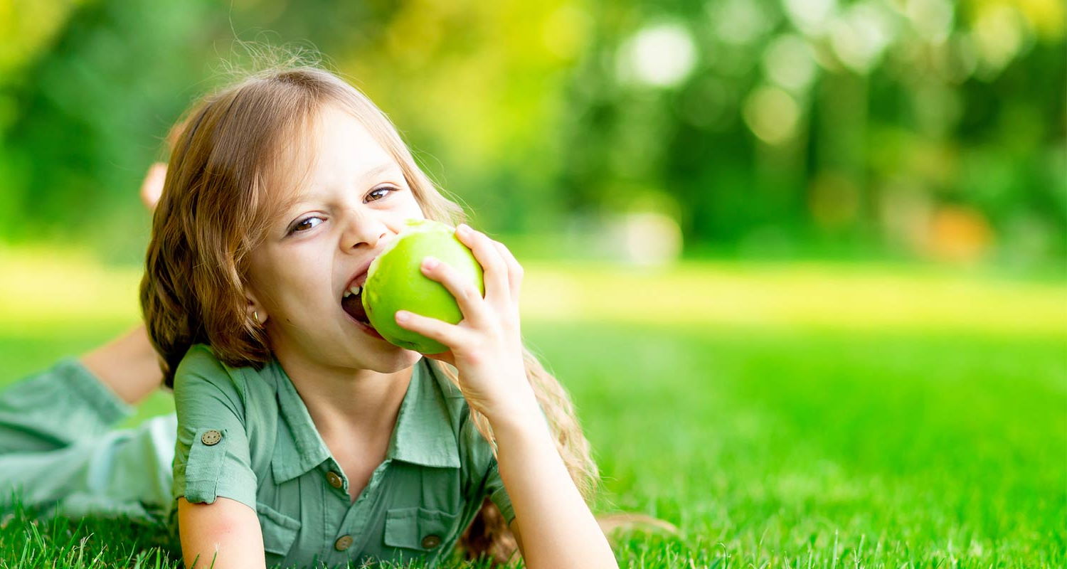 Candyland Child Development Center in Box Elder, SD